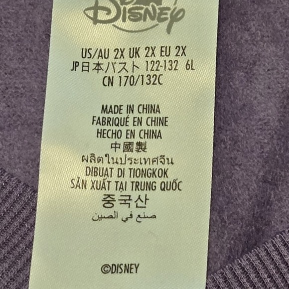 943. NWT Disney Parks Purple Embroidered D Long Sleeve V Neck Top Size 2X - Picture 4 of 5